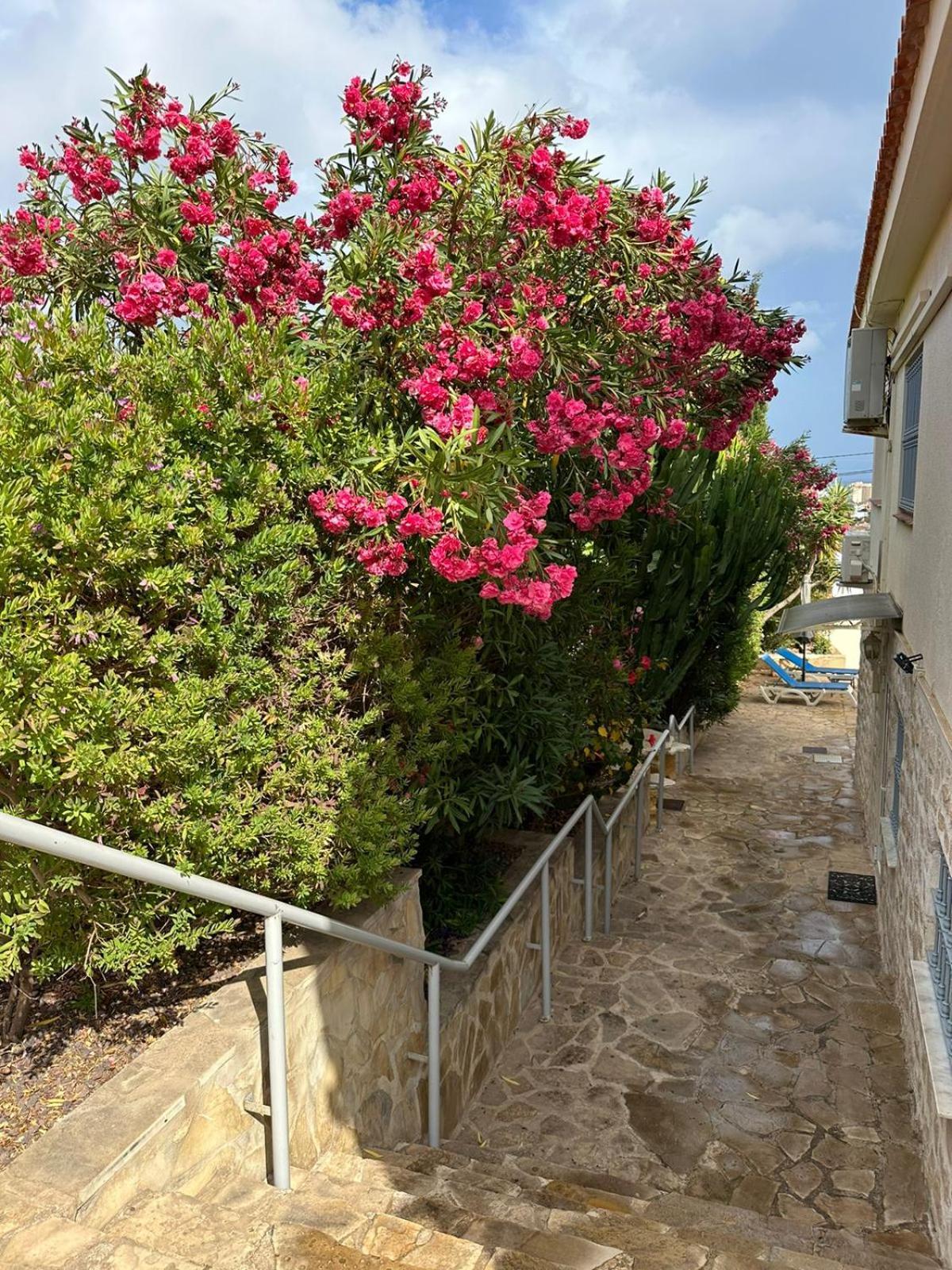 Apartamentos En La Villa Con El Territorio Comun En Calp Exterior foto